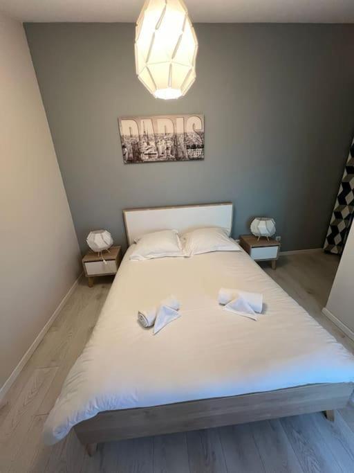 Le Paris Eiffel - Appartement Cosy En Plein Centre Bourgoin-Jallieu Buitenkant foto